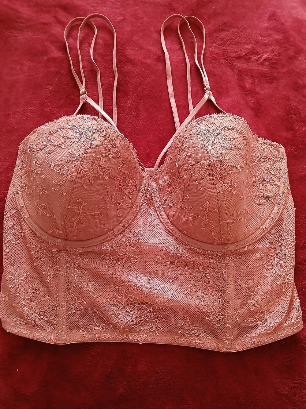 Longline Lace Bustier Bra in Dusty Pink - Large - 34D
